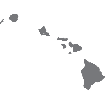 solid grey shape representing the area and borders of Hawaii's islands