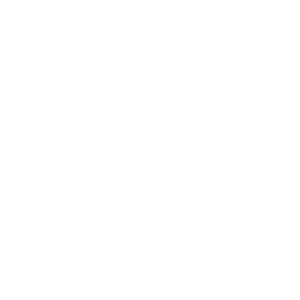 APPA (American Probation and Parole Association) logo