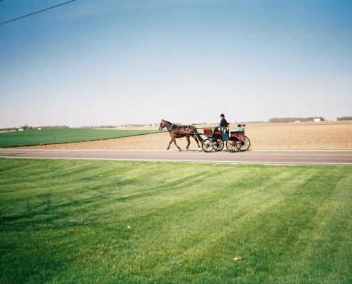 Can I get a DWI while operating a horse and buggy?