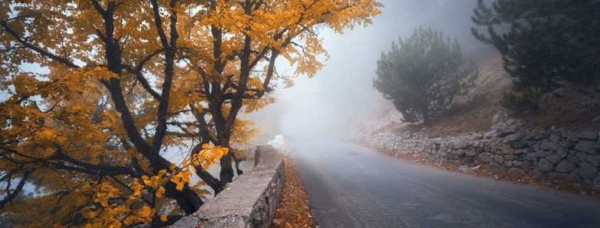 Road covered with fog during Autumn