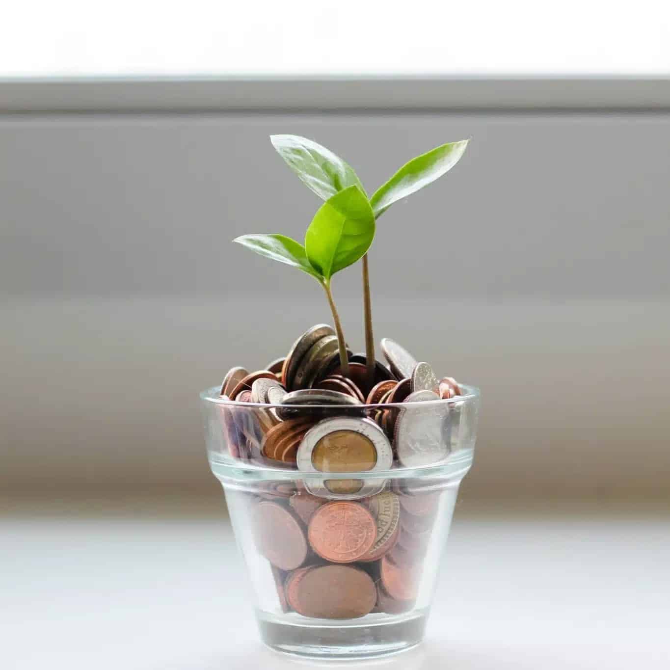 cost-savings-plant-jar-scaled1