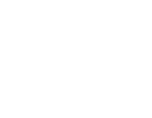ISO (Internation Standards Organization) logo